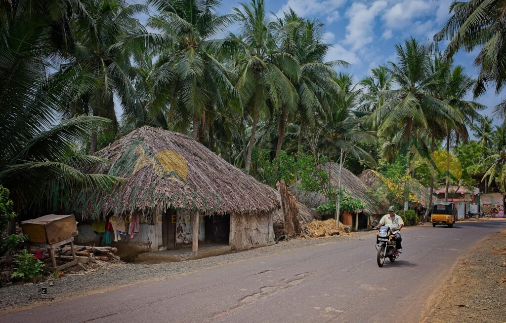 India 2018